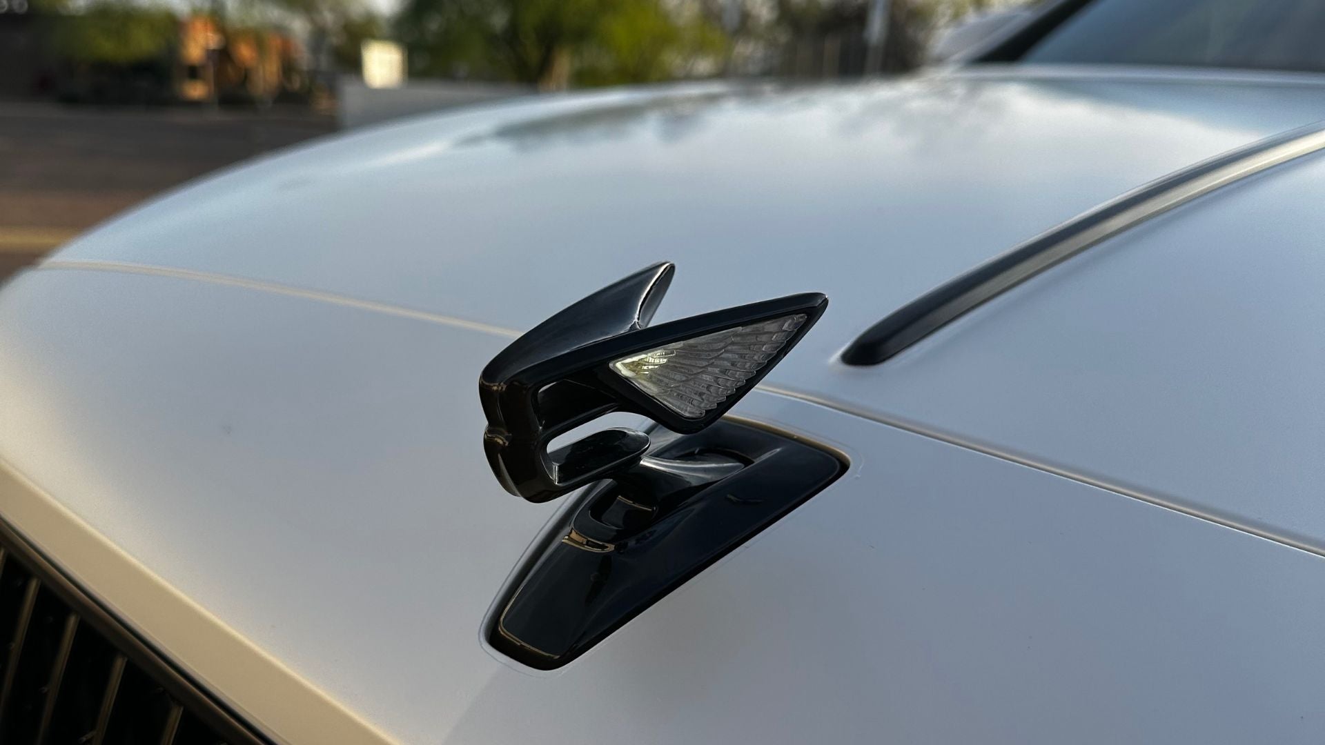 Bentley emblem with satin white vinyl wrap